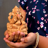 Little Ganesh Puja Kit