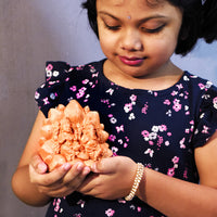 Lakshmi Ganesh Puja Kit
