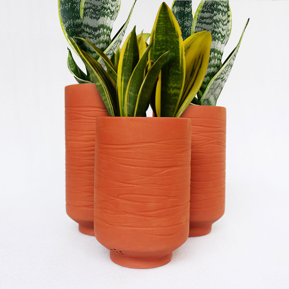 Terracotta Planter