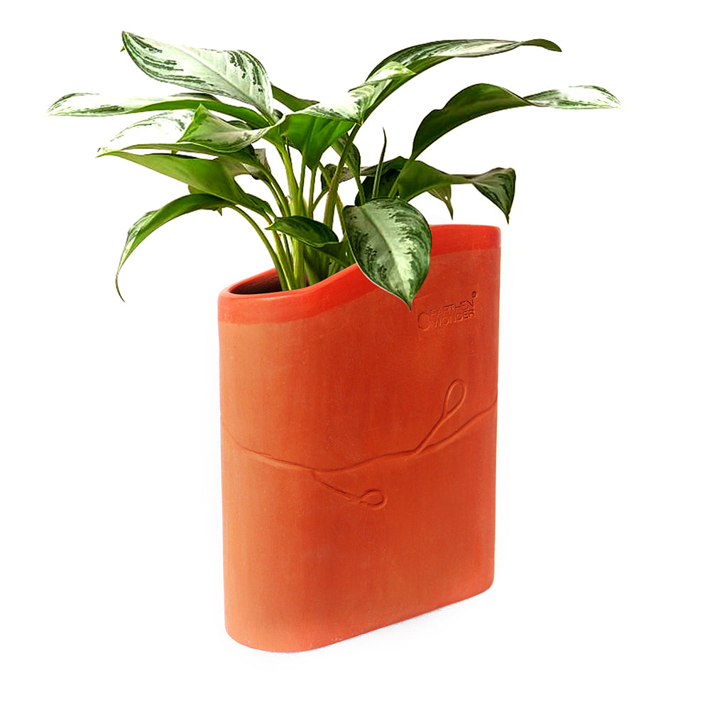 Terracotta Planter