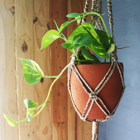 Handcrafted Terracotta Classic Planter with Jute Macrame Hanger Design-1