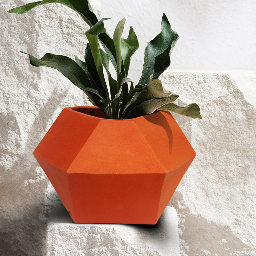 Terracotta Planter Pot 