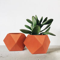 Terracotta Planter Pot 