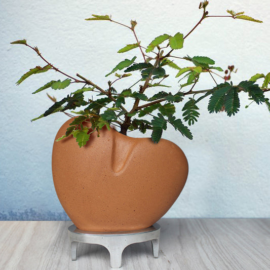 Handcrafted Terracotta I Care Planter