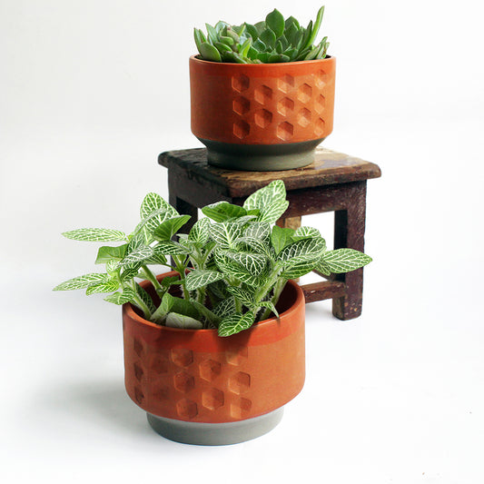 Handcrafted Terracotta Hexa Deco Planters (Set of 2)