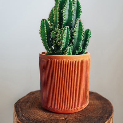Handcrafted Terracotta Cylindrical Pillow Planters (Set of 2)