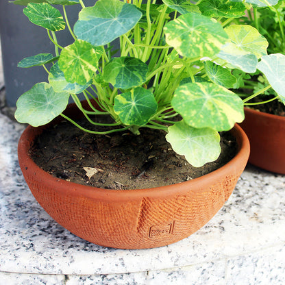 Handcrafted Terracotta Shallow Jute Textured Planters (Set of 2)