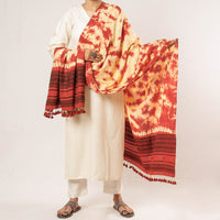 Bhujodi Handloom Dupatta