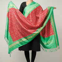 Pochampally Ikat Dupatta 