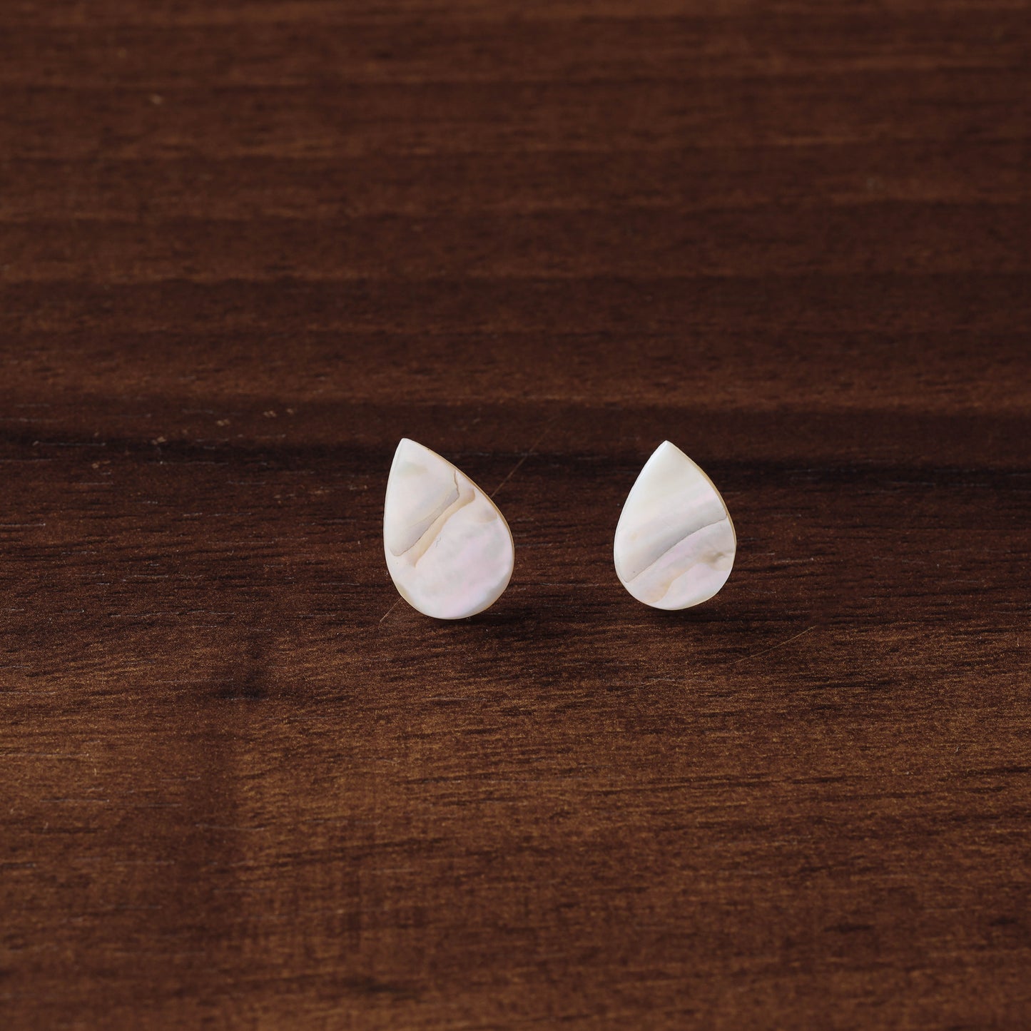 seashell earrings