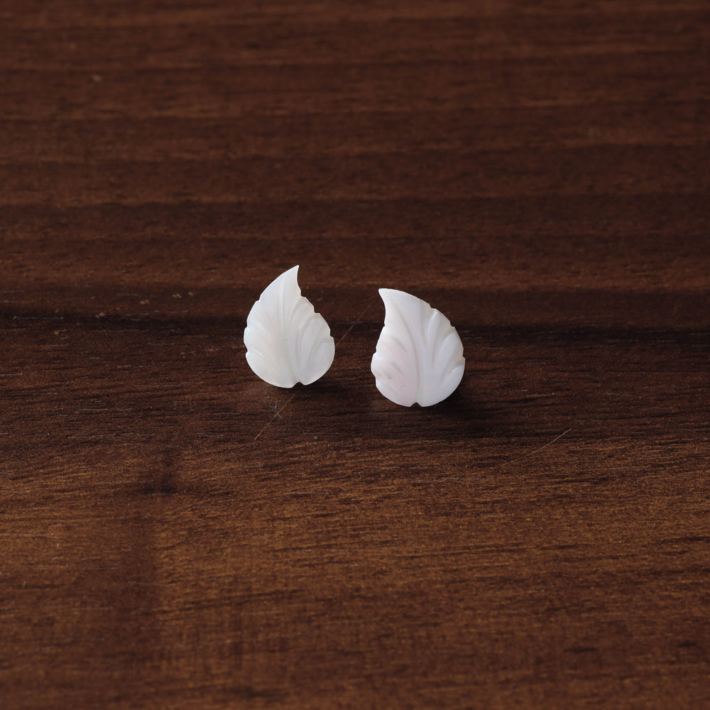 seashell earrings