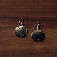 seashell earrings